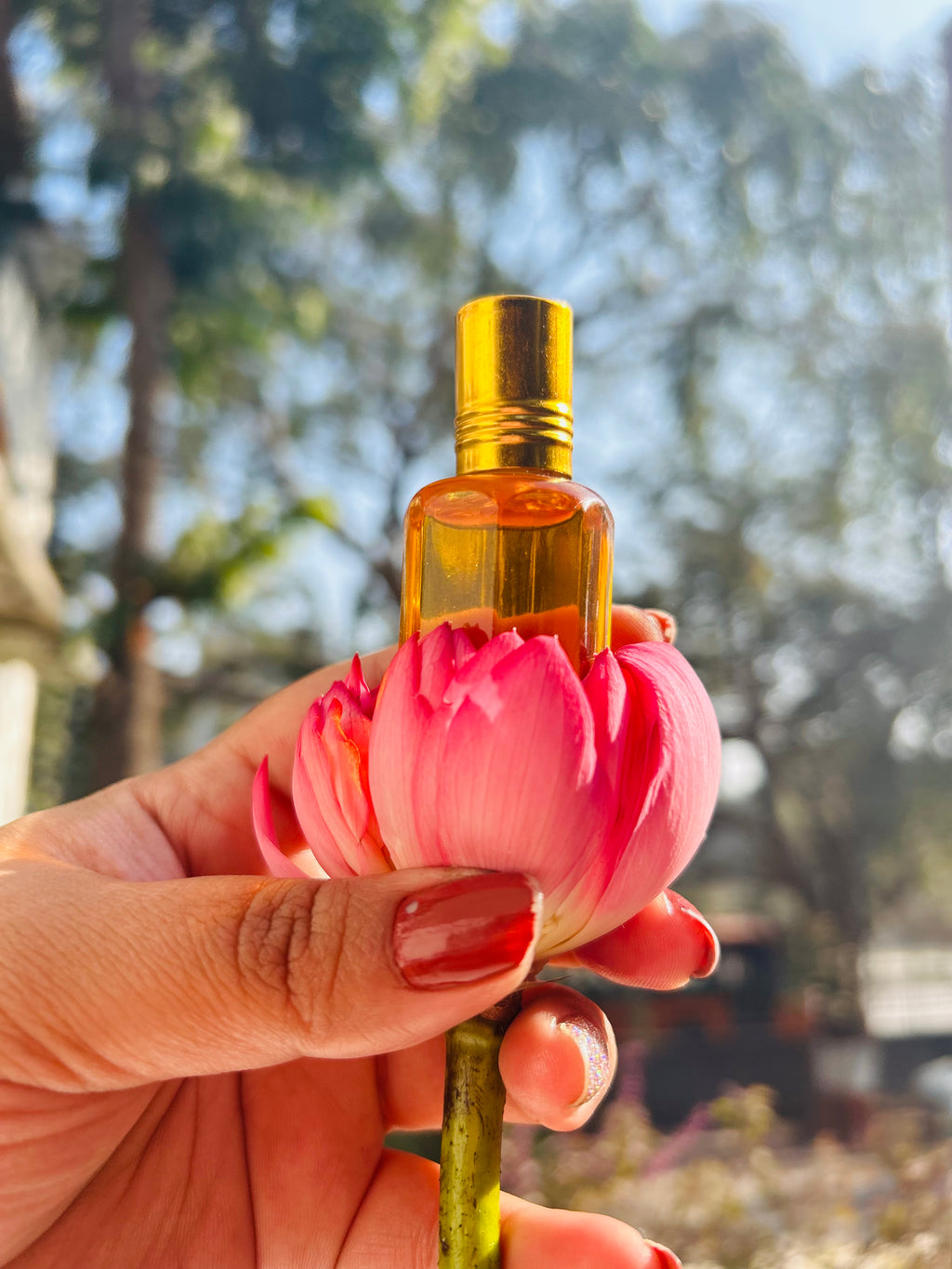 Gulabi Kamal – गुलाबी कमल