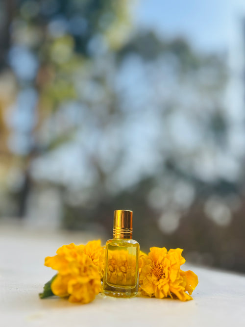 Ananda (आनंदा)