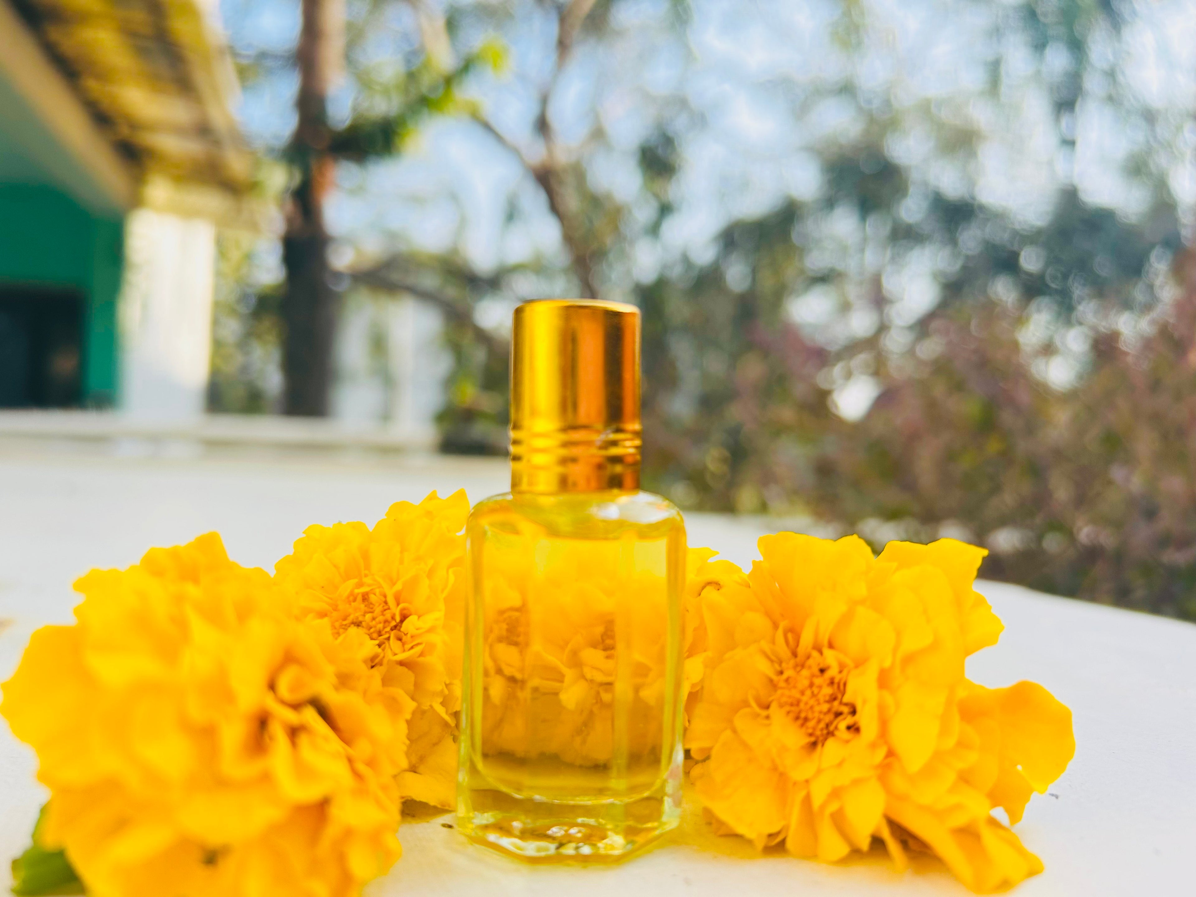 Ananda (आनंदा)