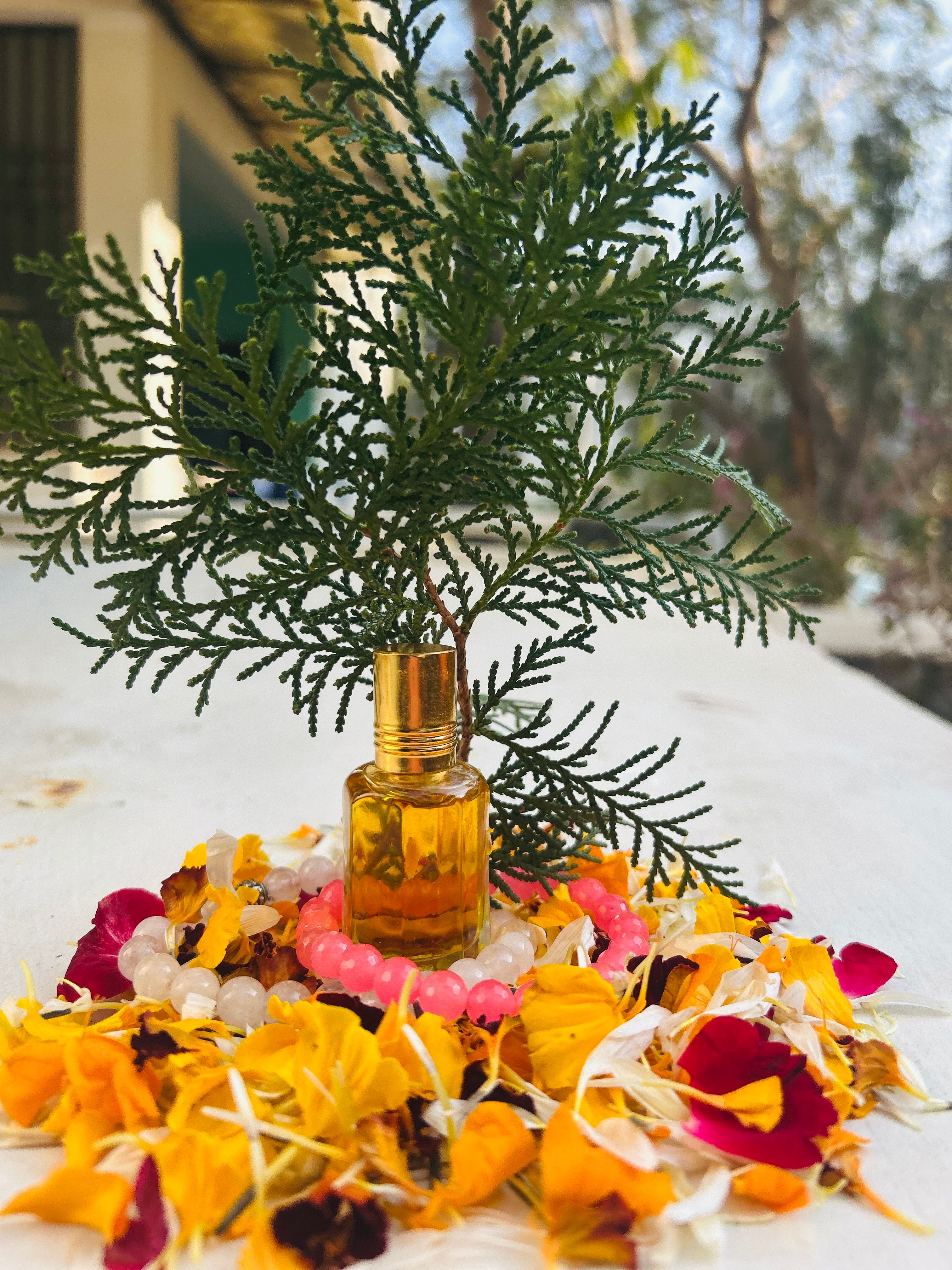 Murli Raga (मुरली राग)